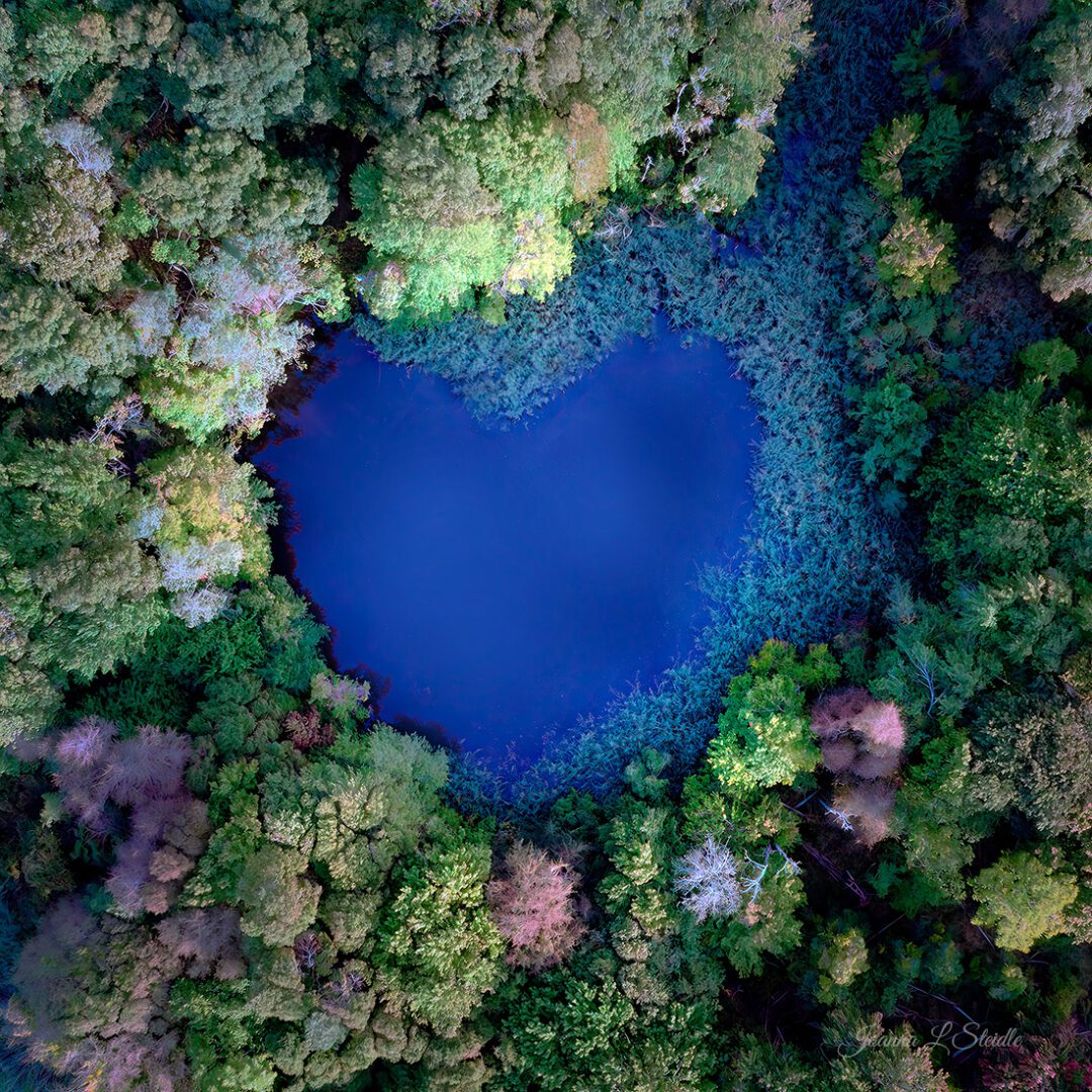 An aerial view of a lake in the middle of a forest