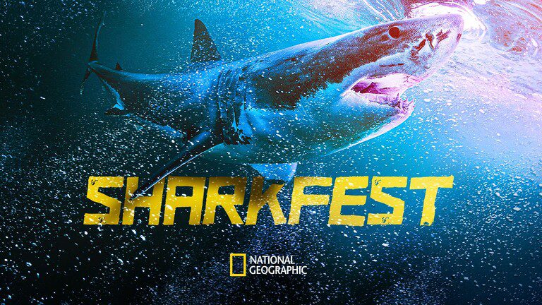 A poster of Sharkfest