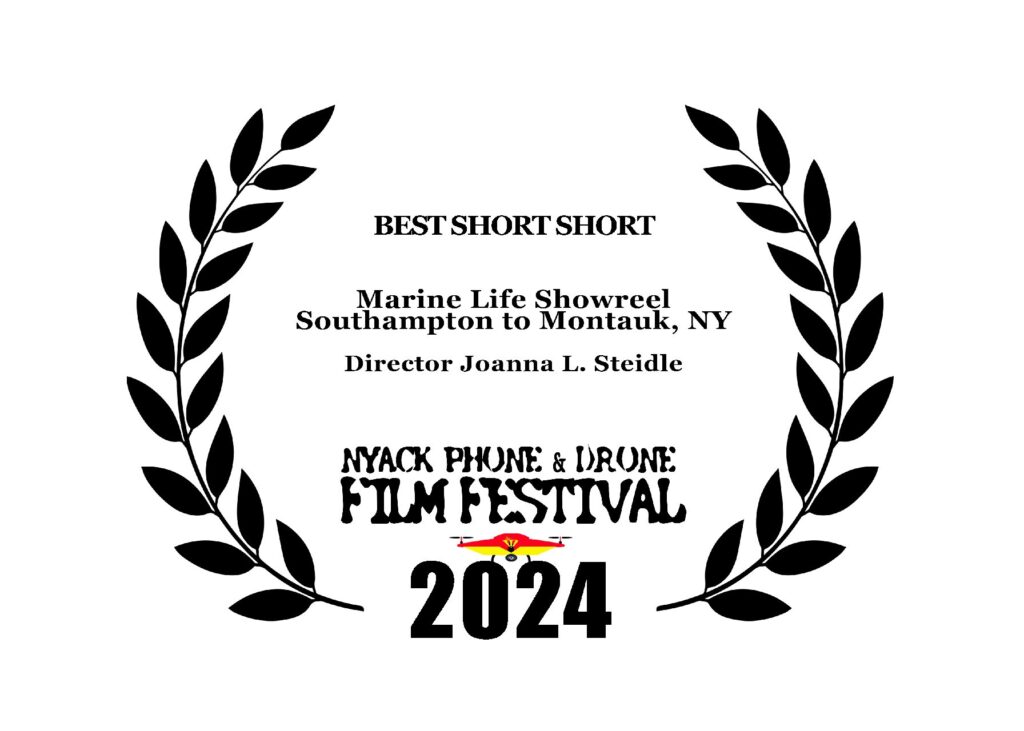 NPDFF2024 BEST SHORT SHORT AWARD LAURELS