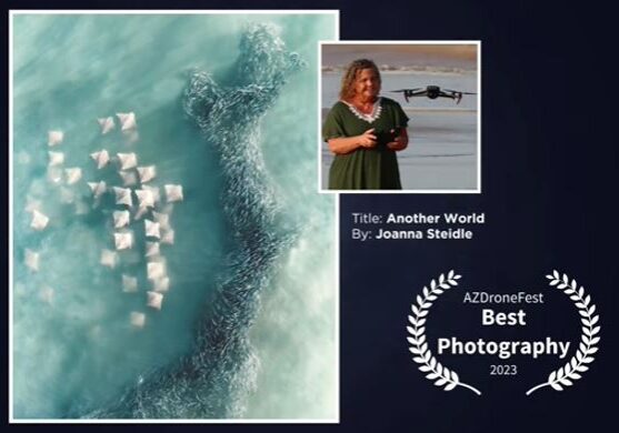 A woman standing in front of an ocean with some cubes floating on it.