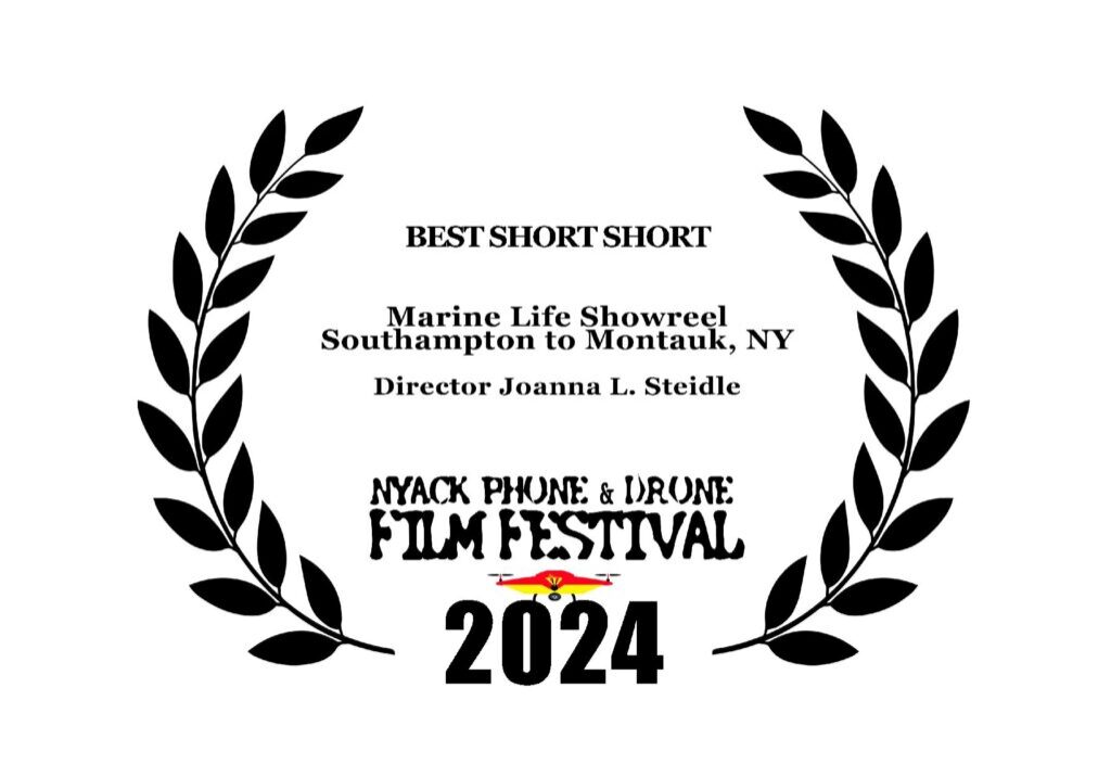 NPDFF2024 BEST SHORT SHORT AWARD LAURELS