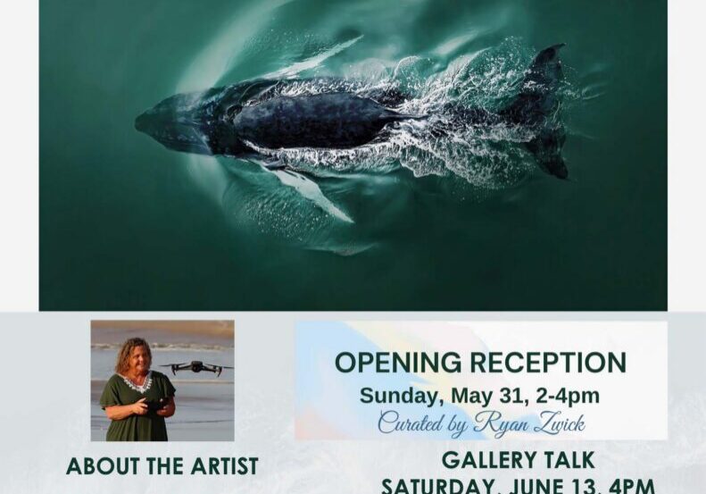 Art Shows FLYERS (8.5 x 11 in) - 23