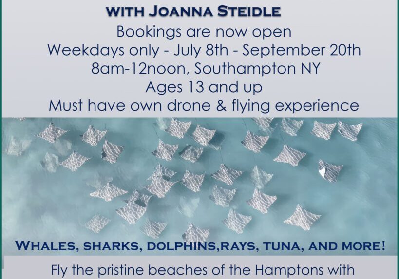 A poster advertising the marine life excursions.